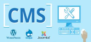 CMS Web Development Services & Customization