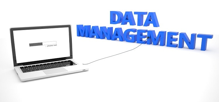 Database Management System