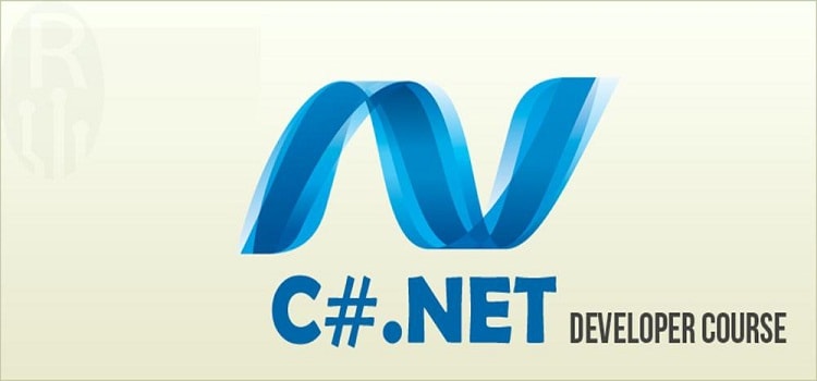 Hire C# .Net Developer in hawkscode software pty ltd