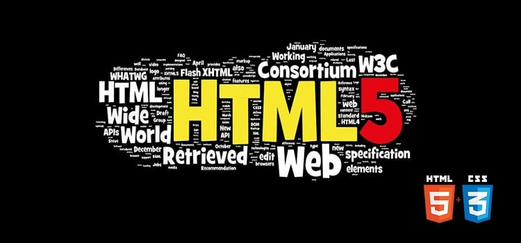 Best HTML5 Website Design and Development Company in Kolkata