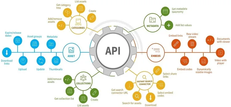 API Customization & Development Services API